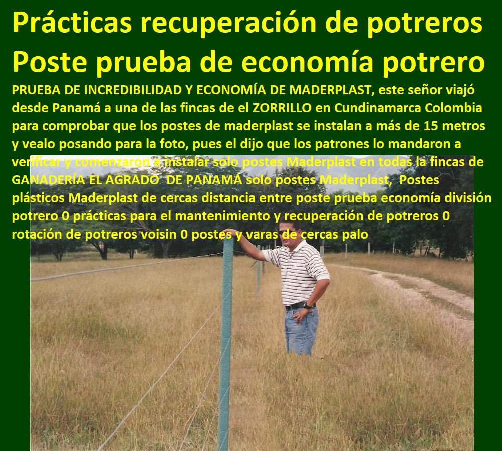 Postes plásticos Maderplast de cercas distancia entre poste prueba economía división potrero 0 prácticas para el mantenimiento y recuperación de potreros 0 rotación de potreros voisin 0 postes y varas de cercas palo Postes plásticos Maderplast de cercas distancia entre poste prueba economía división potrero 0 prácticas para el mantenimiento y recuperación de potreros 0 rotación de potreros voisin 0 postes y varas de cercas palo Postes plásticos Maderplast de cercas distancia entre poste prueba economía división potrero 0 prácticas para el mantenimiento y recuperación de potreros 0 rotación de potreros voisin 0 postes y varas de cercas palo